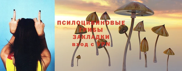 2c-b Волоколамск