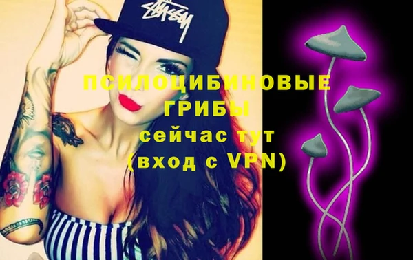 Альфа ПВП Вяземский