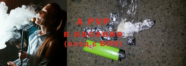 гашик Вязьма