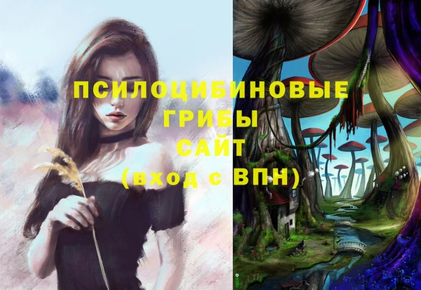 Альфа ПВП Вяземский
