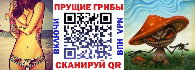 Купить закладки  Вышний Волочёк  Псилоцибиновые грибы MAGIC MUSHROOMS 